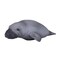 MOJO Manatee Realistic International Wildlife Hand Painted Toy Figurine